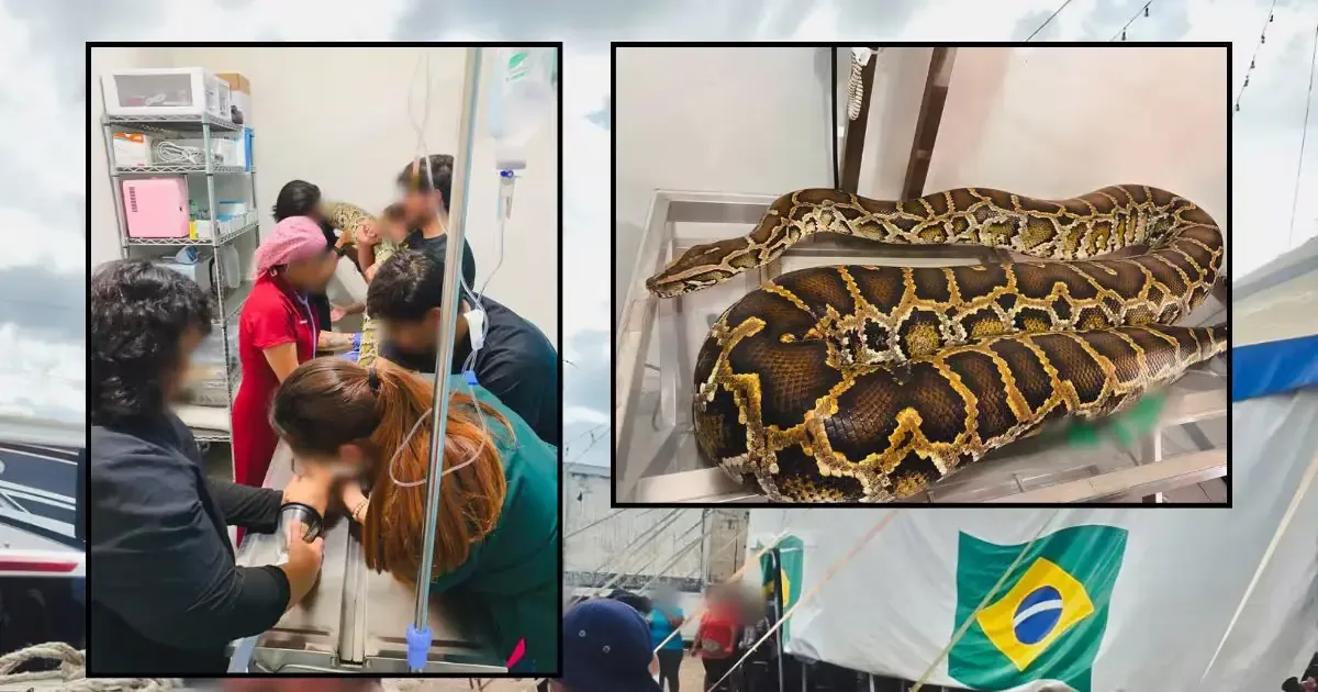 La intervención de la Profepa resalta la necesidad de vigilancia en la conservación de la vida silvestre.