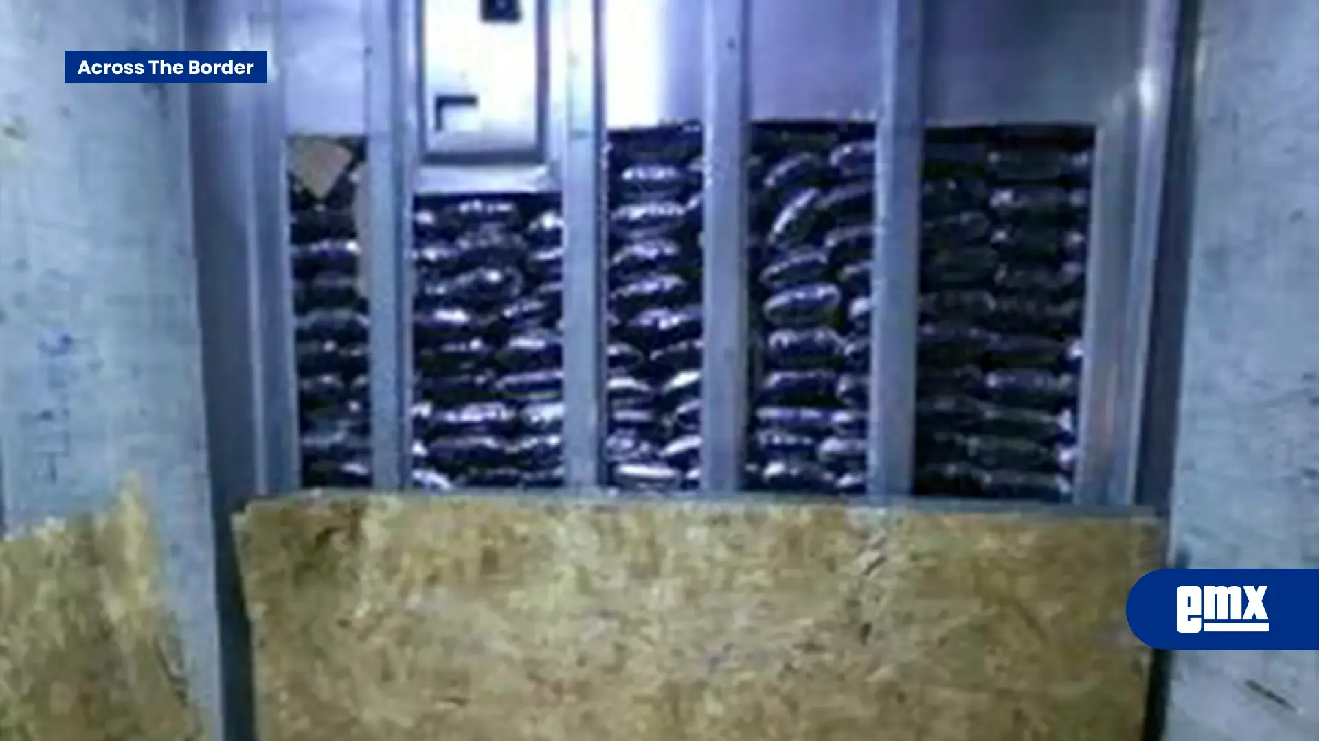 Operativos de la CBP en San Diego logran incautaciones significativas de narcóticos.