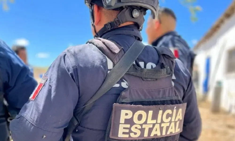 Operativos en varias localidades resultaron en múltiples detenciones y recuperación de vehículos robados.