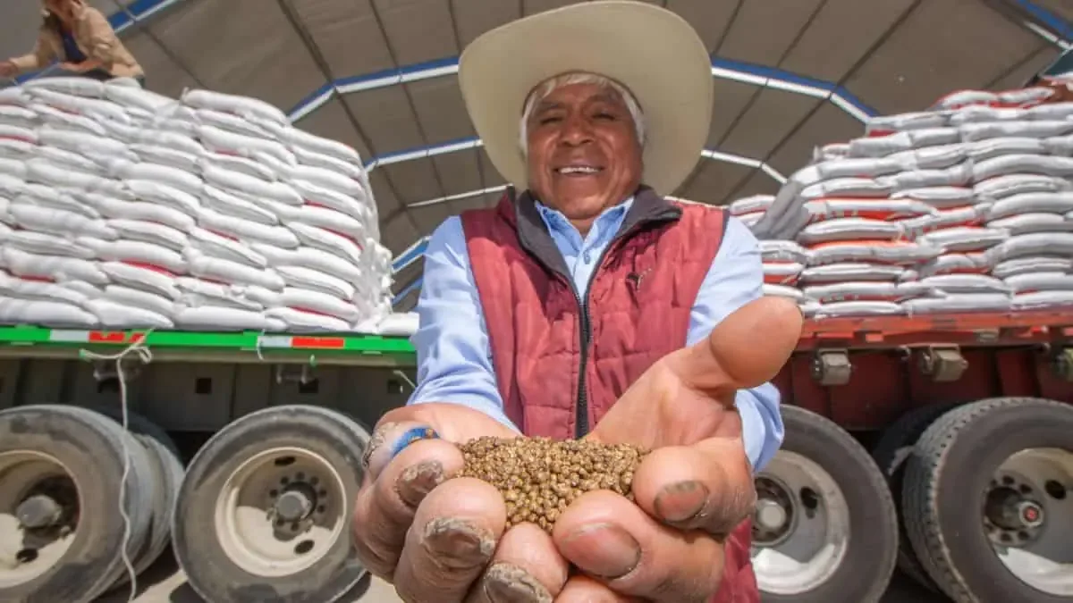 Este programa beneficia a productores agrícolas en comunidades rurales al proporcionar apoyo económico y asistencia técnica.
