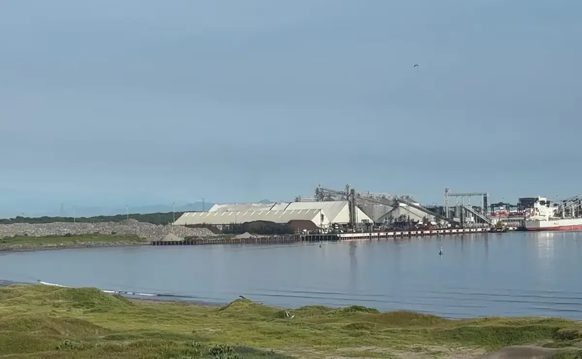 Las obras en Veracruz ponen en riesgo la biodiversidad y el turismo en la región.