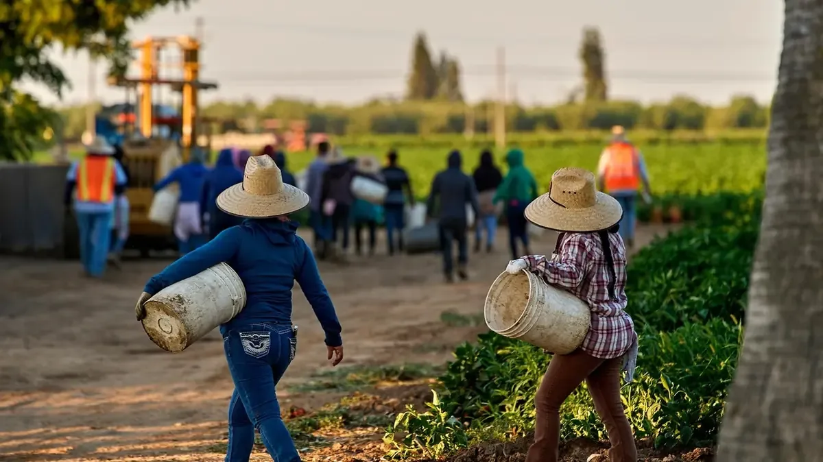 Organizaciones empoderan a mujeres para hacer frente a la violencia en el campo.