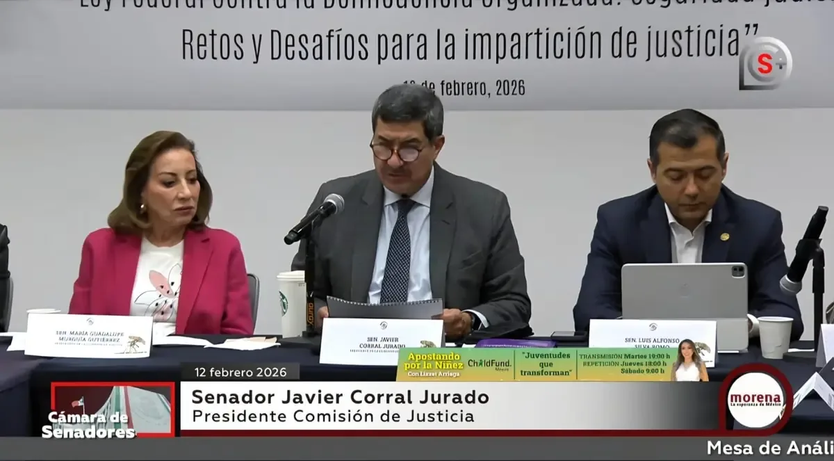 Organizaciones y especialistas advierten sobre la inconstitucionalidad y los riesgos de la medida en la justicia penal.