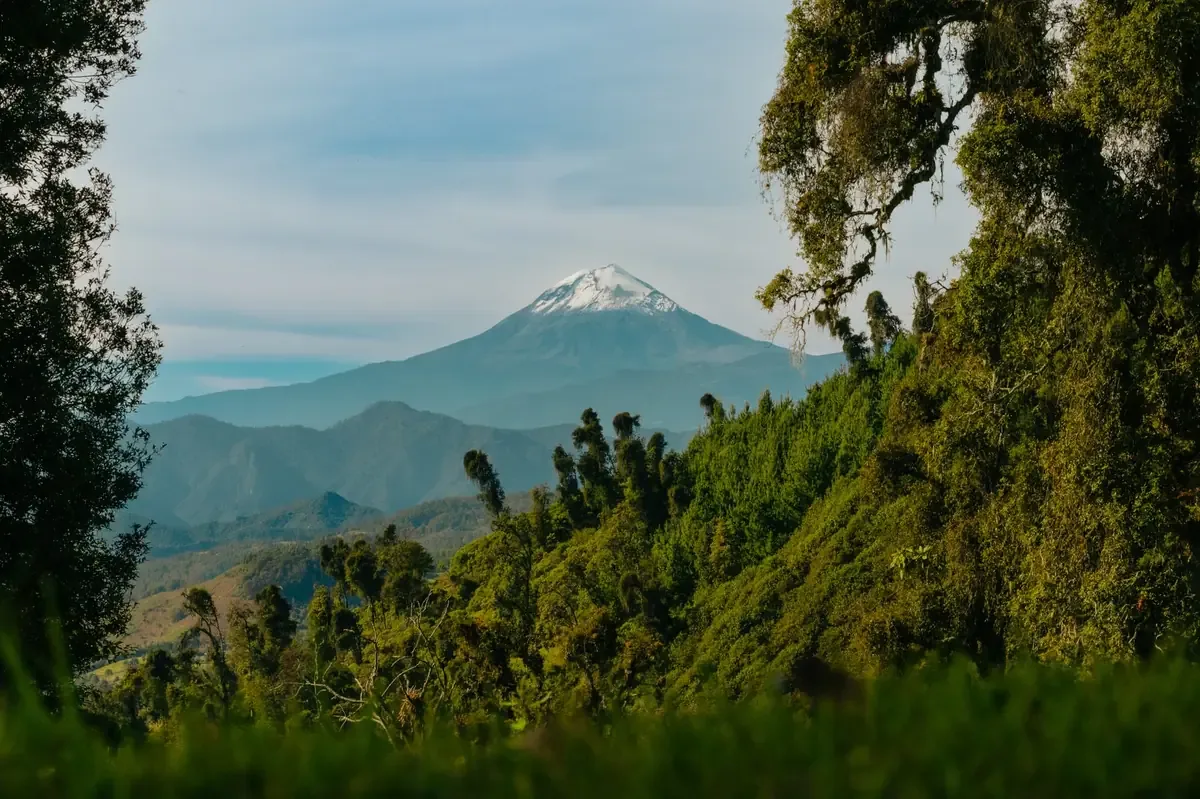 La iniciativa busca mejorar la cobertura vegetal y las condiciones ambientales de Orizaba.