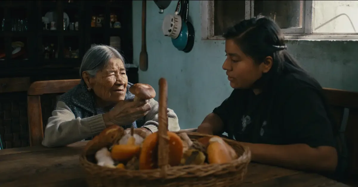 La directora propone una nueva visión de los hongos en su película, destacando el papel de las mujeres en la recolección y el conocimiento ancestral.