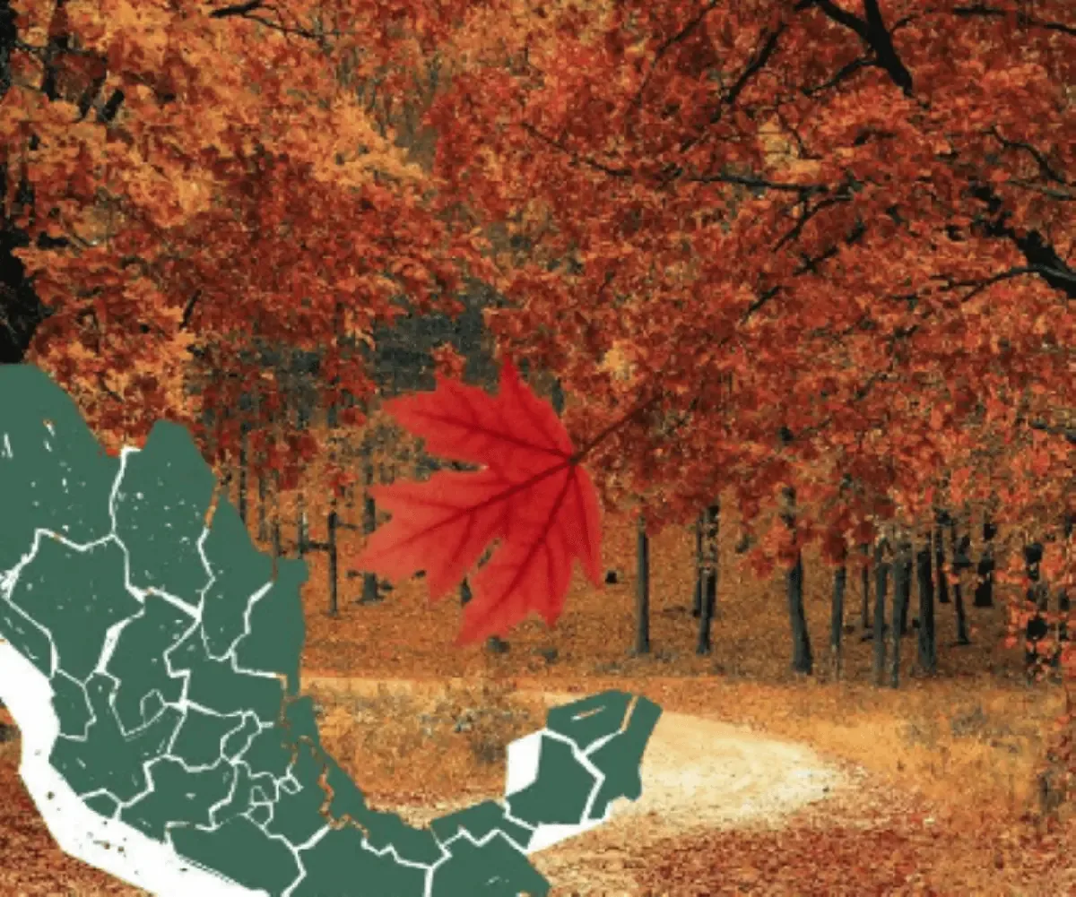 La llegada del otoño marca cambios en temperaturas y condiciones astronómicas en el país.