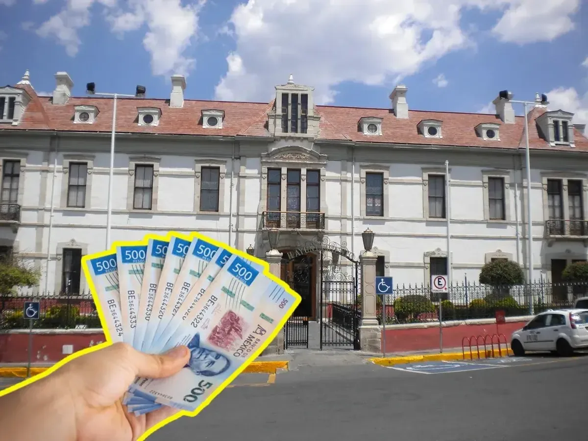 La nueva Ley permite a las escuelas un ahorro en costos para la poda de árboles y facilita el reconocimiento de identidad de género.