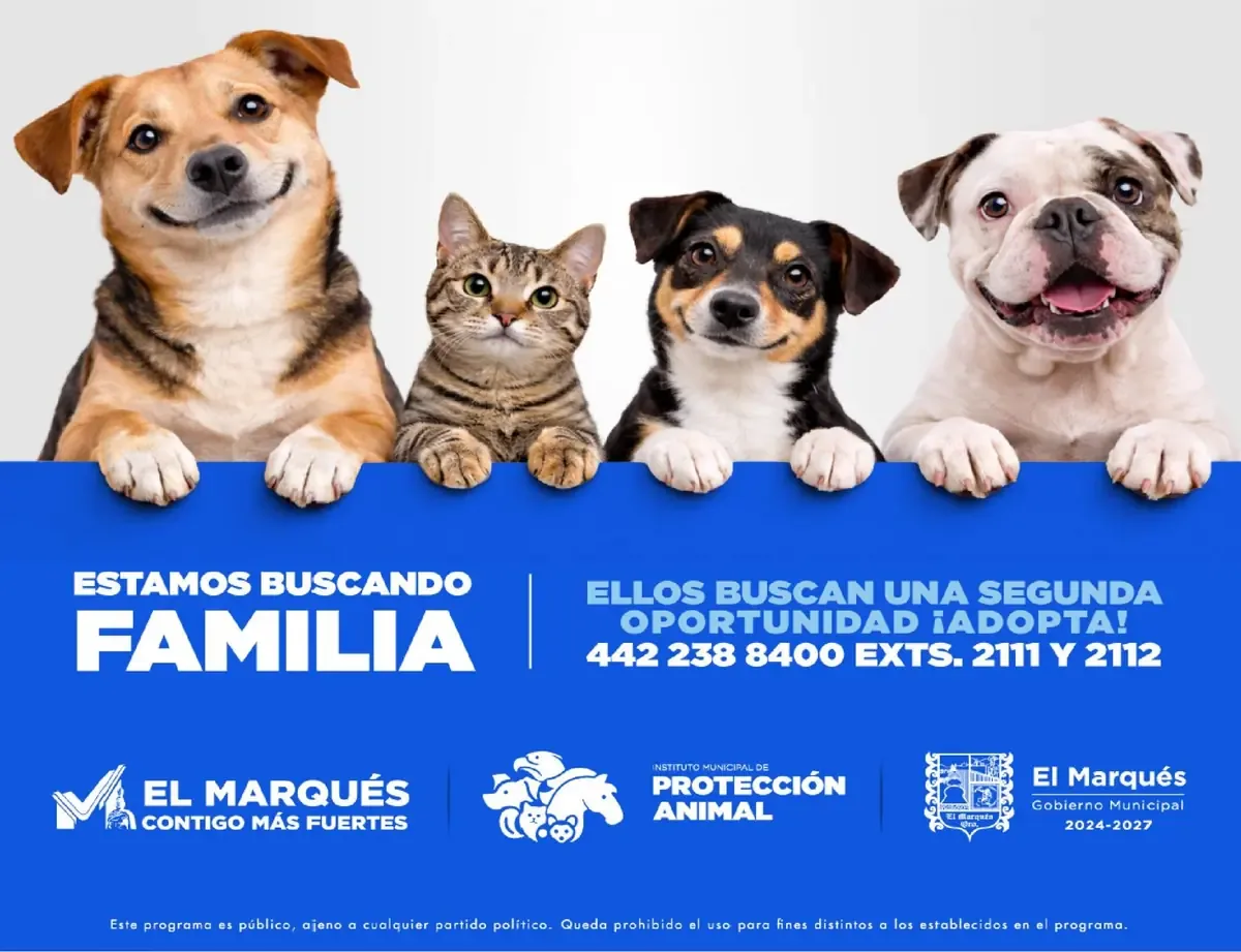 El PAN se prepara para las elecciones de 2027 con el respaldo de líderes clave en Querétaro.