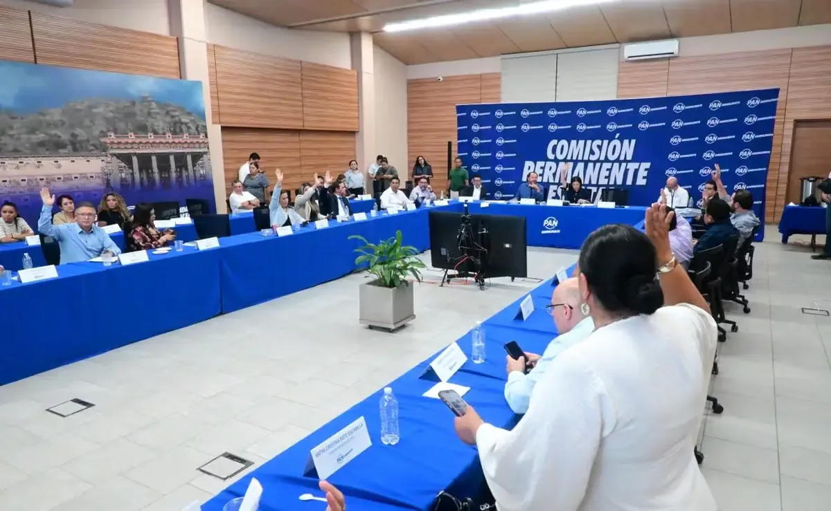 El proceso de selección busca fortalecer el trabajo territorial del partido en los municipios guanajuatenses.
