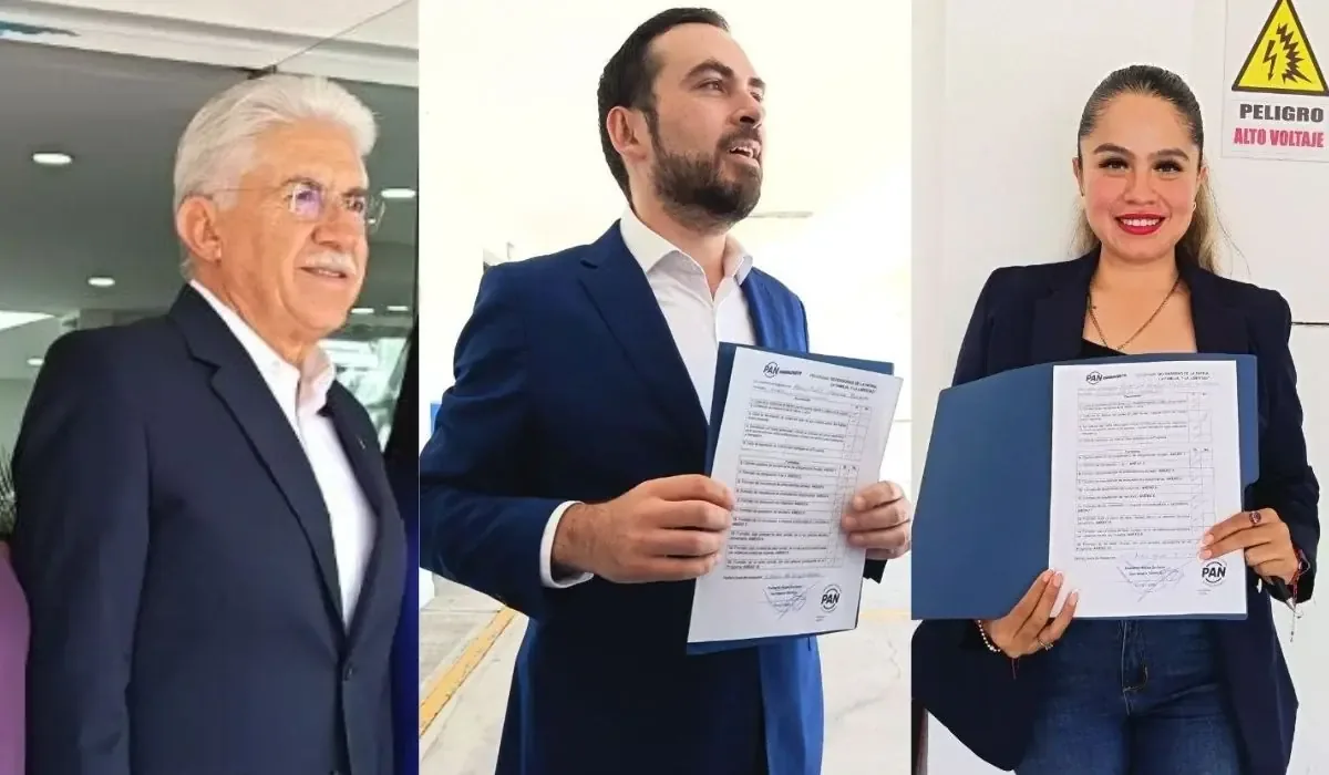 El Partido Acción Nacional inicia un proceso para elegir defensores que trabajen en diversas causas sociales.