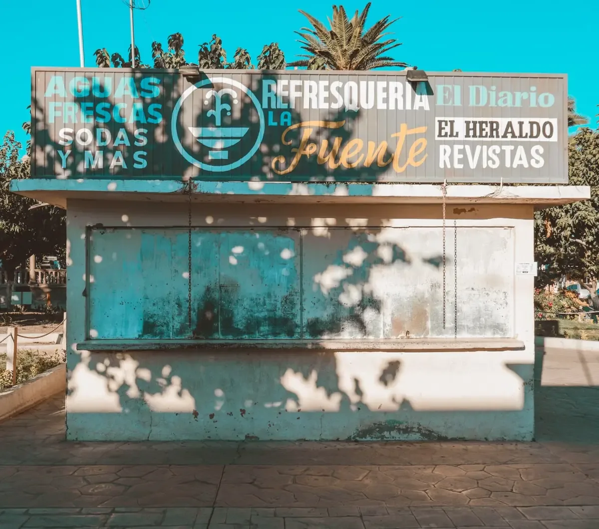 La lucha interna en PAN y MC complica sus aspiraciones electorales en Baja California.
