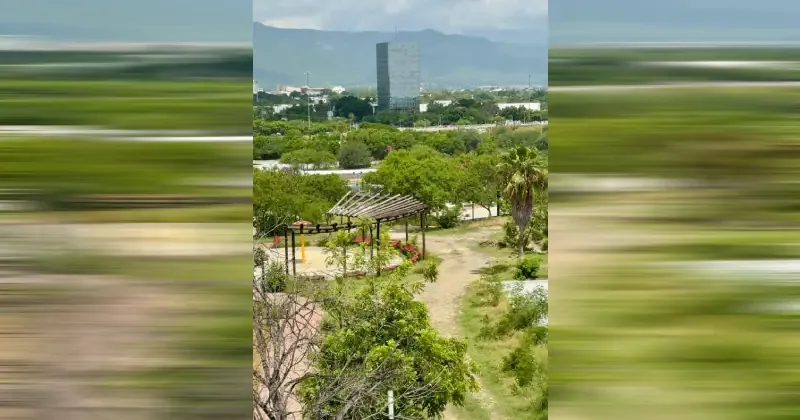 Este emblemático espacio ha transformado la capital tamaulipeca durante más de 30 años.