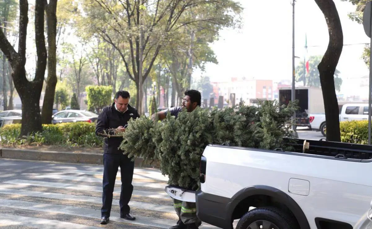 "Participación ciudadana en la recolección de árboles de Navidad en Benito Juárez."