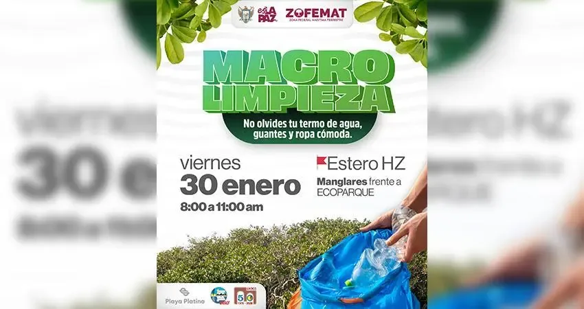 Participantes en la macro limpieza de manglares en la ciudad de La Paz.