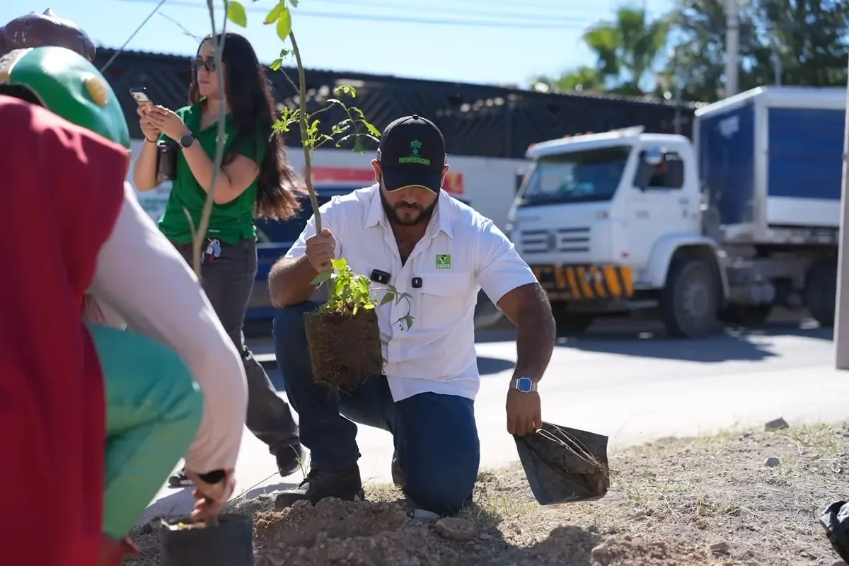 La reforestación busca mejorar el entorno urbano de Ciudad Juárez y fomentar áreas verdes.