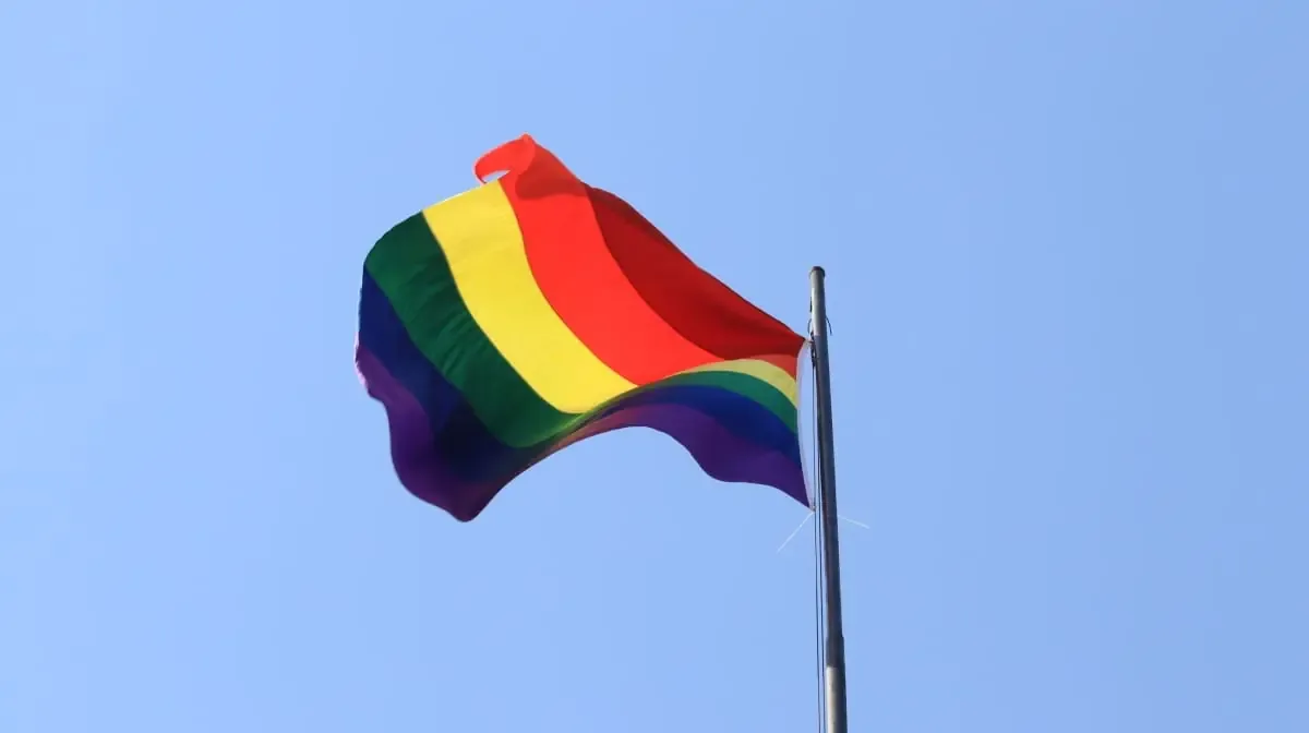 Los partidos en Michoacán deben promover la participación de la diversidad sexual en los procesos electorales.
