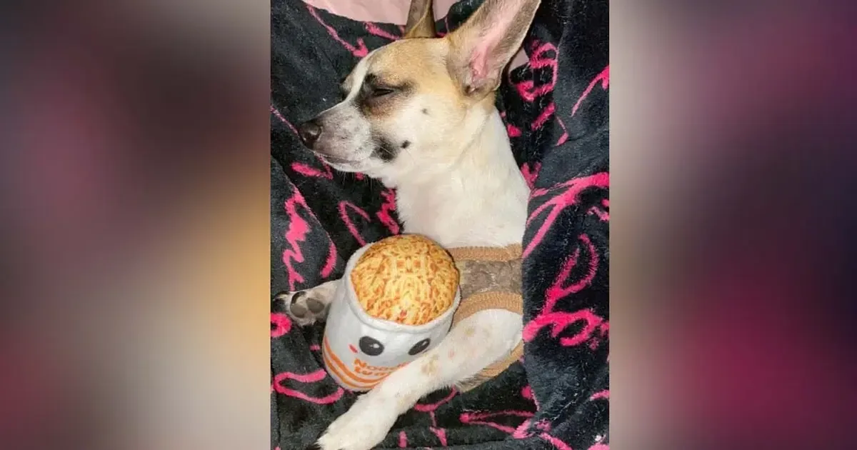 La dueña del perro, Autumn Mendoza, busca justicia tras el incidente.
