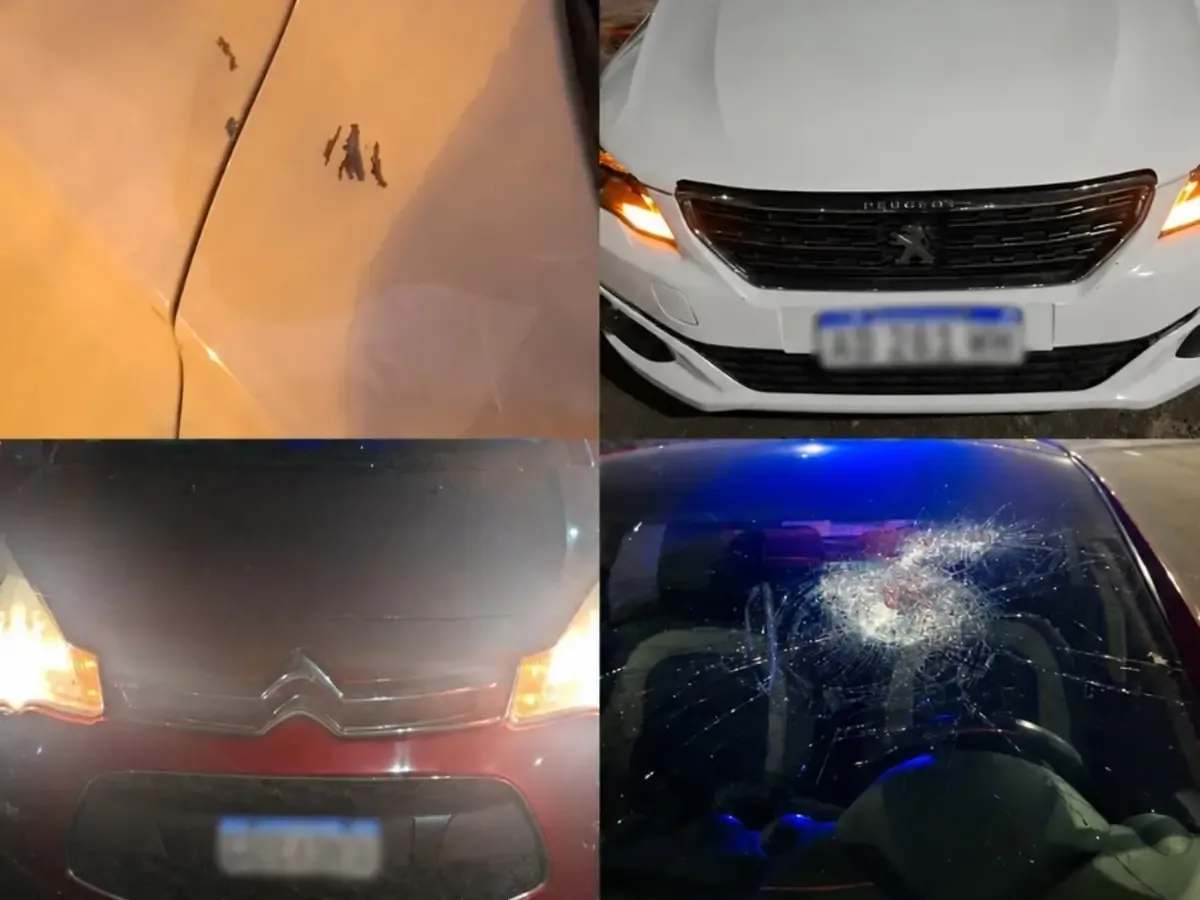 Nueva oleada de incidentes genera alarma entre conductores en una ruta clave de Argentina.