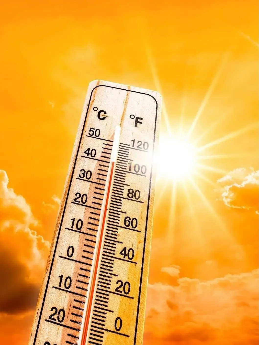 La falta de lluvias y el intenso calor afectan la calidad de vida de los habitantes de Piedras Negras.