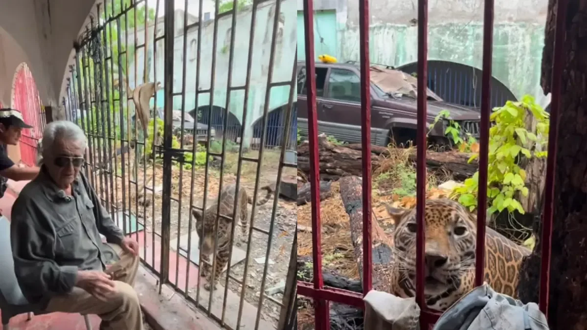La controversia por el bienestar animal cerró un caso que concluyó en sentencia.