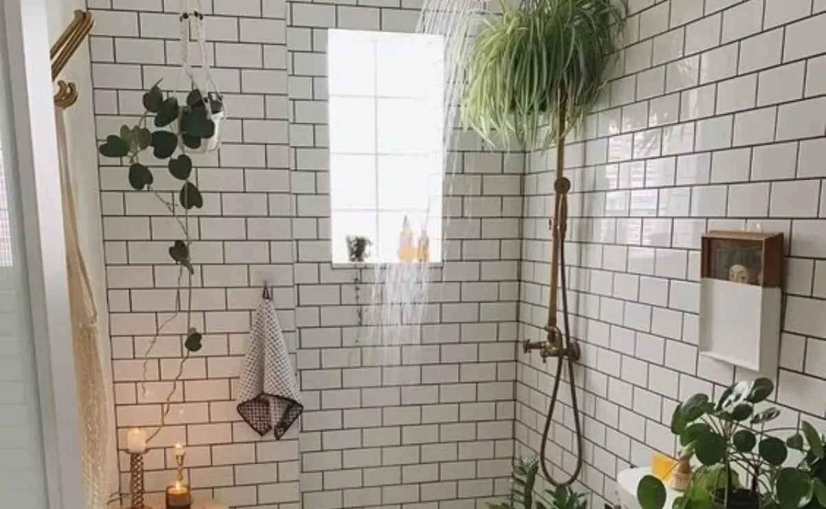 "Plantas ideales para eliminar malos olores en el baño."