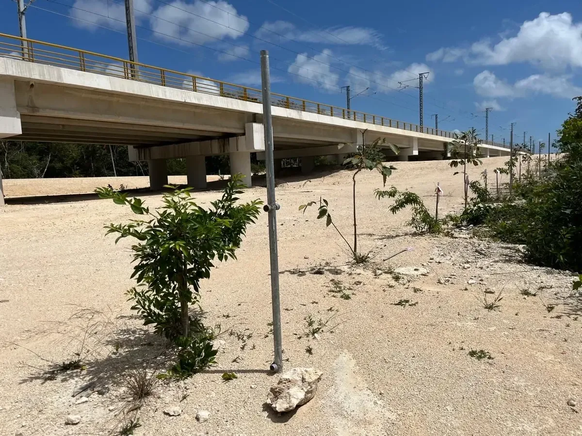 La erosión en Playa del Carmen revela la necesidad de estrategias permanentes para proteger el litoral.