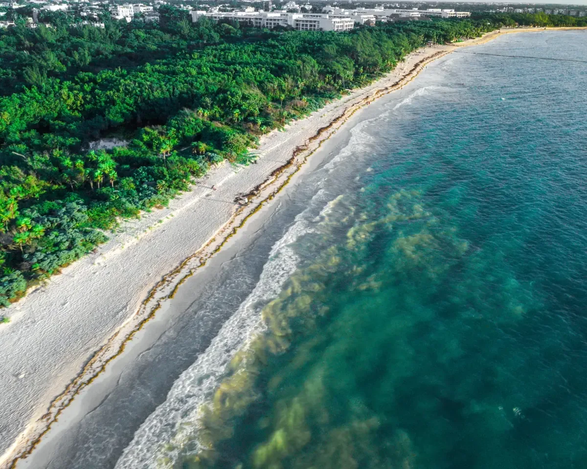 La ampliación de barreras marinas busca mitigar el impacto del sargazo en el turismo de Playa del Carmen.