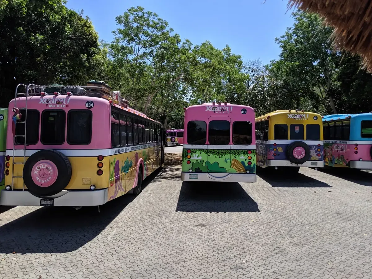 La Ruta Universitaria asegura transporte gratuito para estudiantes, aunque con limitaciones en su operación.