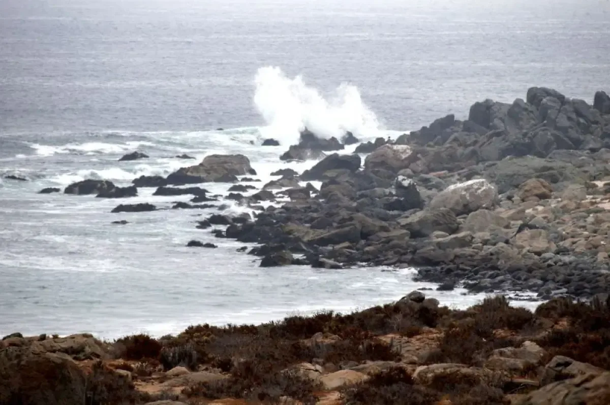 Se amplía el plazo para responder observaciones al Estudio de Impacto Ambiental de la planta desaladora en Coquimbo.