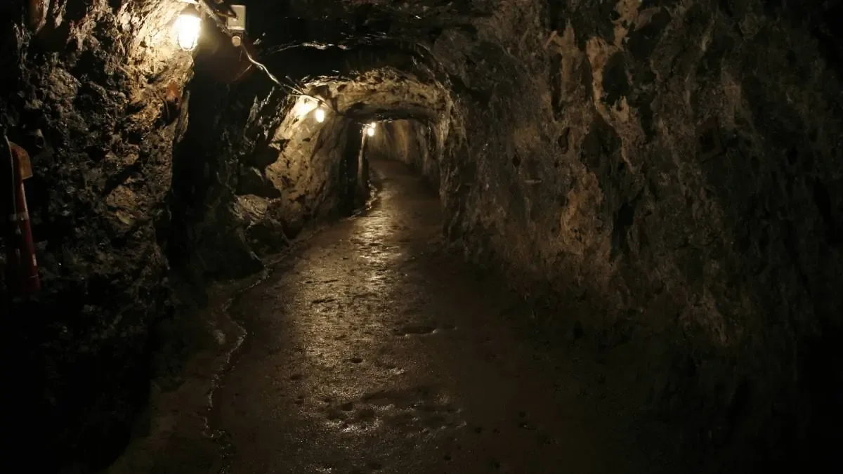 Un narcotúnel hallado genera preocupación en la comunidad y abre investigaciones por parte de las autoridades.