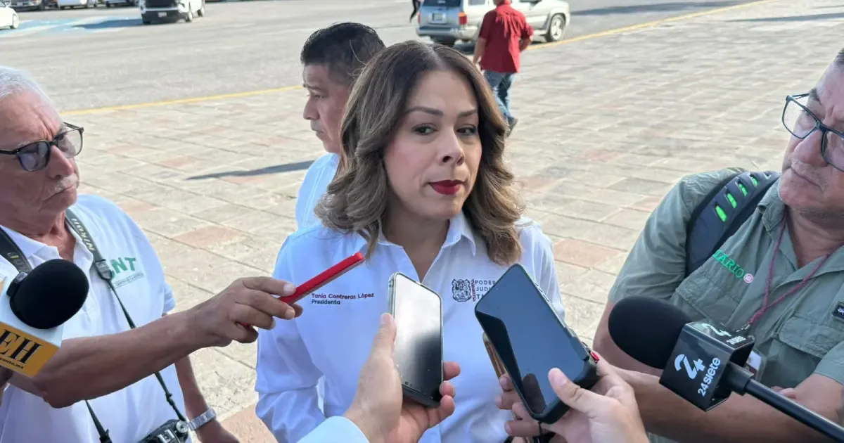 La investigación involucra a funcionarios y abogados en presuntos actos de manipulación de juicios de guarda de menores.