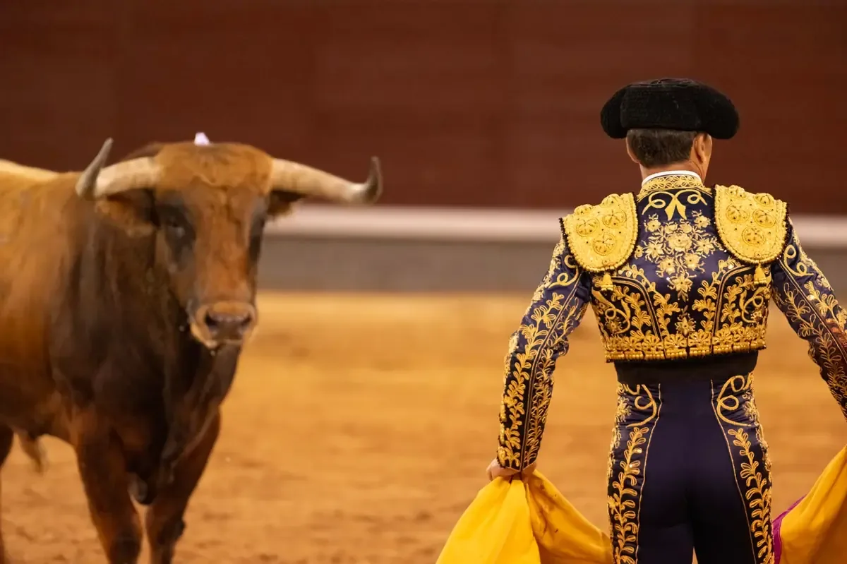 La controversia por corridas de toros en Yucatán enfrenta a colectivas animalistas y promotores de tradiciones.
