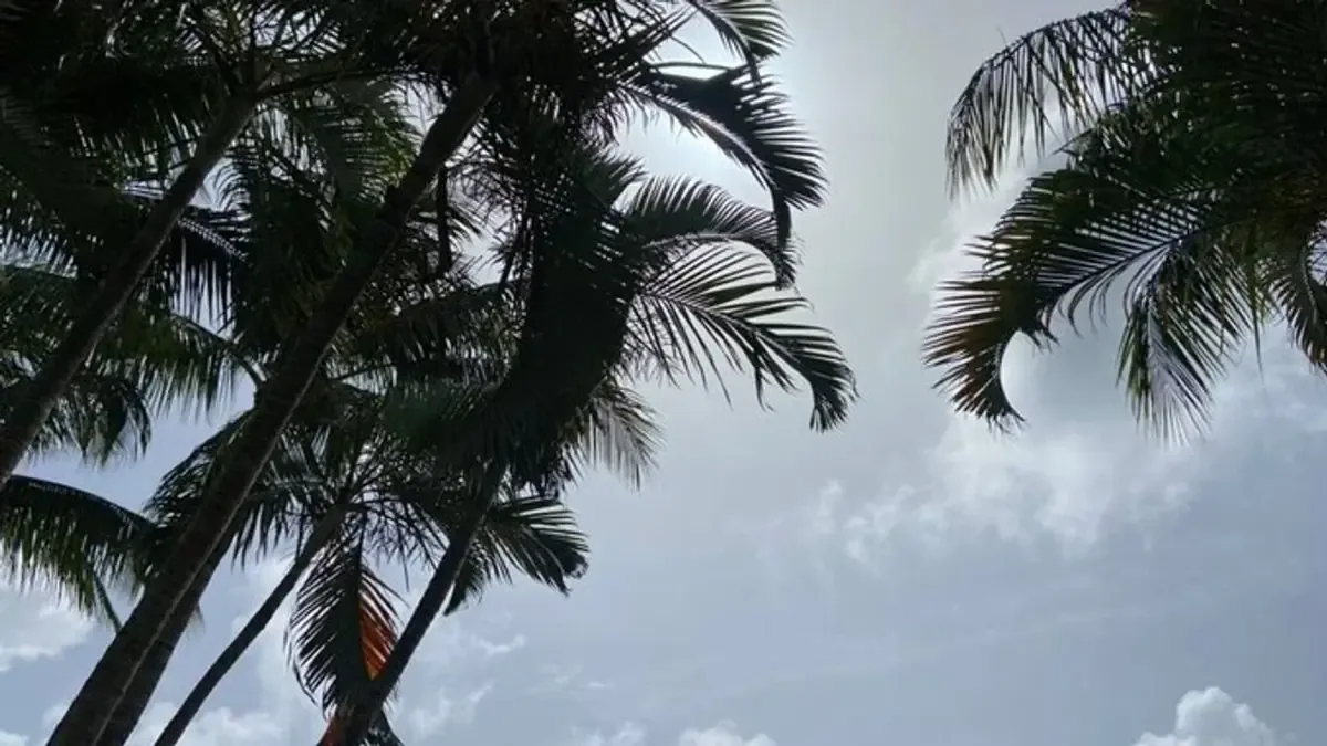 La combinación de aire seco y altas temperaturas coloca a la región en alerta por calor extremo.