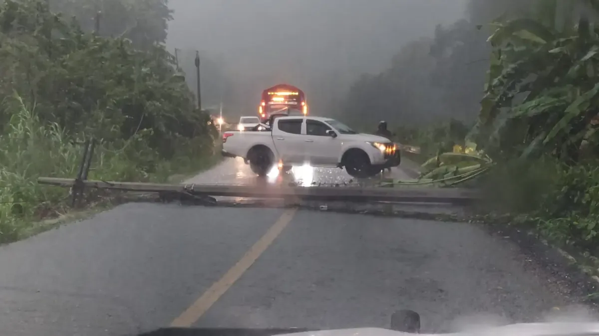 La caída de un poste debido a las lluvias cierra la circulación en la carretera federal 175, generando riesgos para conductores.