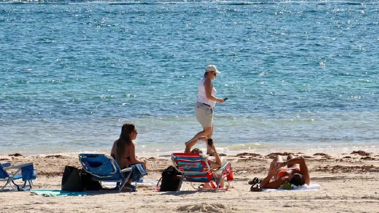 "Presidencia Municipal de Puerto Morelos resalta la llegada de turistas internacionales."