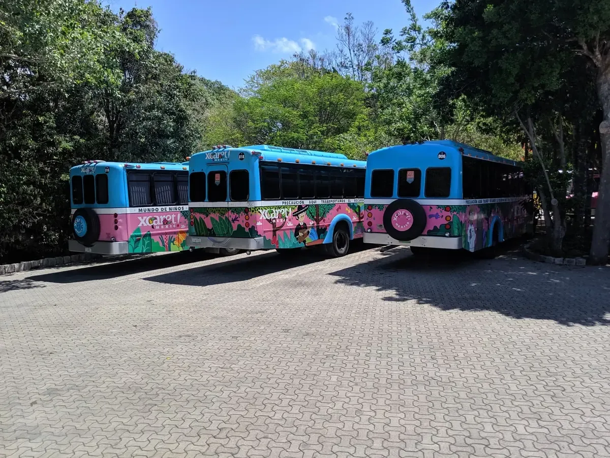 La Dirección de Transporte Municipal busca prevenir desvanecimientos por altas temperaturas en pasajeros del transporte público.