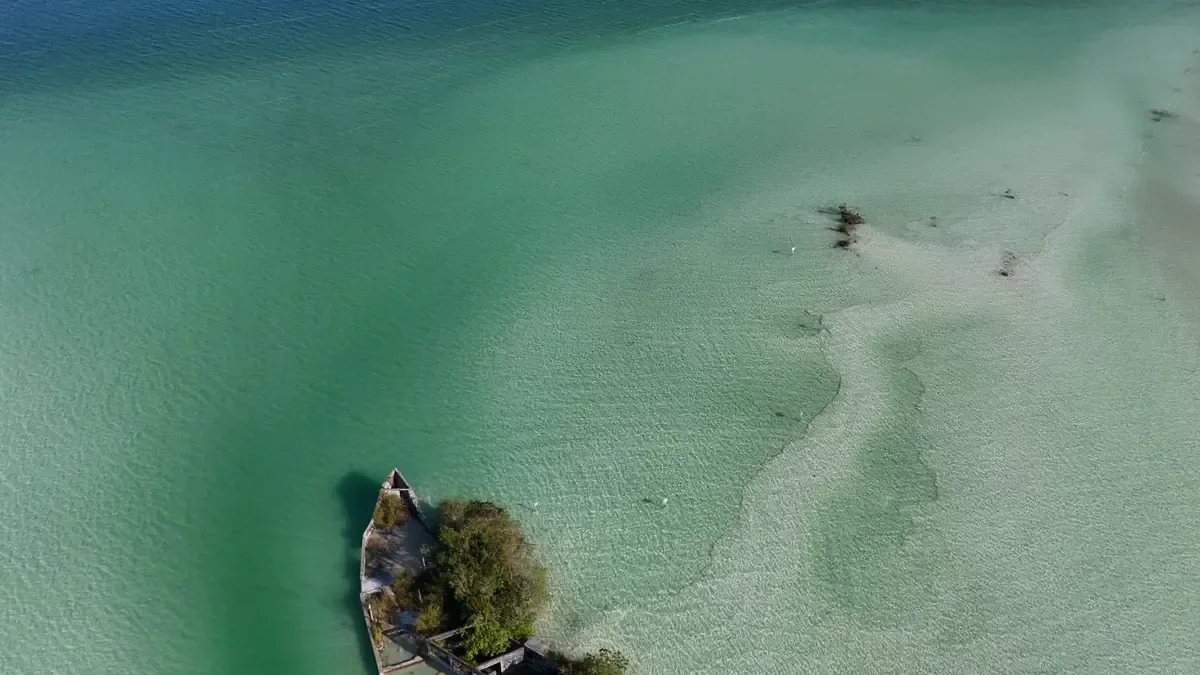 La falta de un plan sólido contra el sargazo perjudica el turismo y la economía local en Quintana Roo.