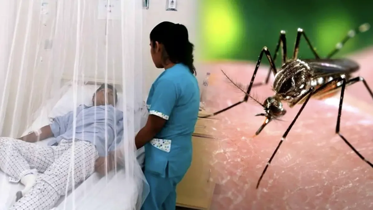 El primer caso de dengue en Sotuta pone en alerta a la región y revela un aumento en los municipios afectados.
