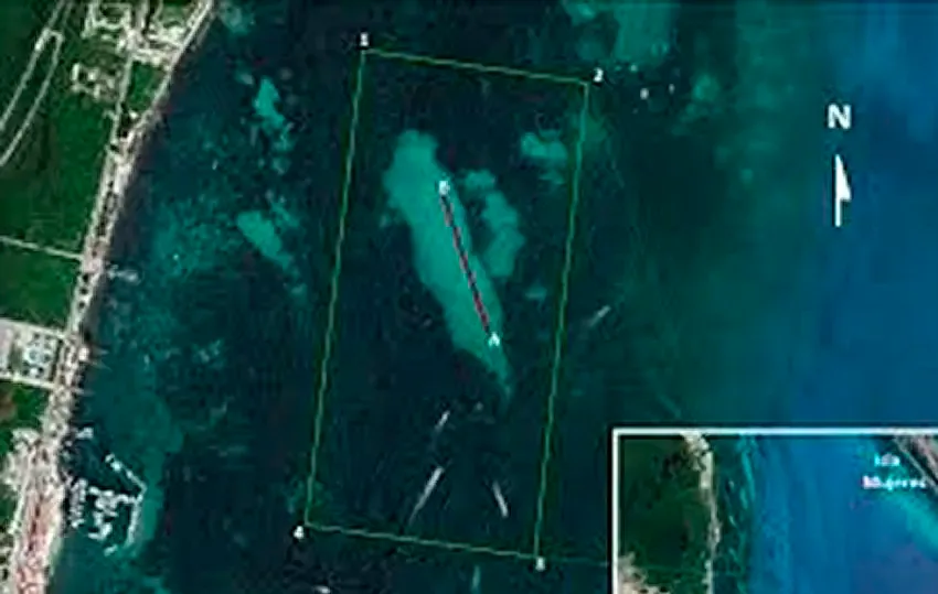 Primer vivero de coral libre de plástico en Puerto Juárez, Quintana Roo.