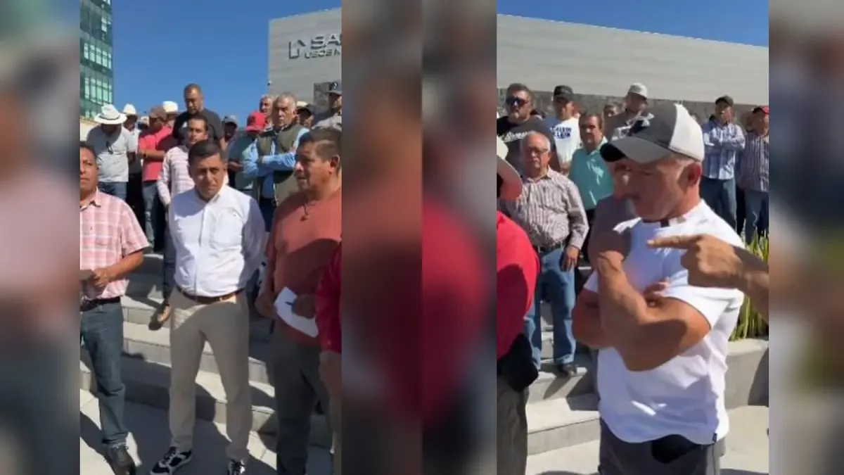 Pequeños productores de aguacate piden un precio mínimo para ser rentables.