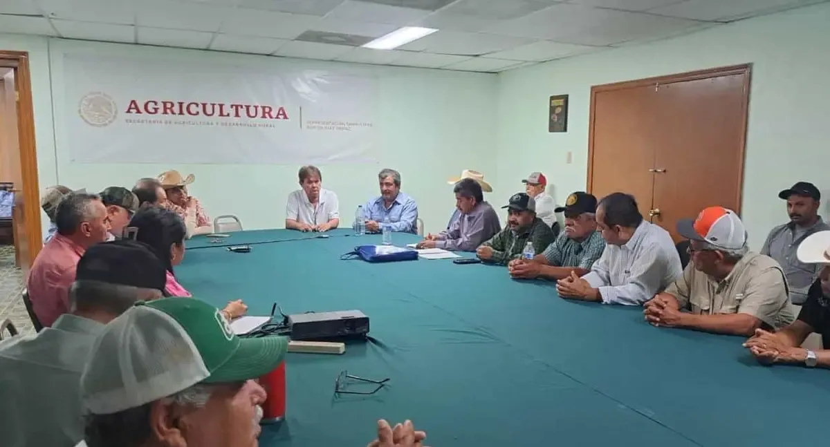 La falta de agua y costos elevados afectan la productividad agrícola en Tamaulipas.