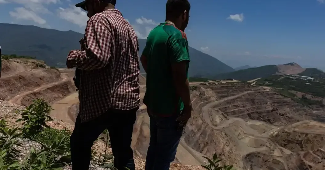 La disminución de recursos afecta la capacidad de monitoreo de fauna silvestre en México.