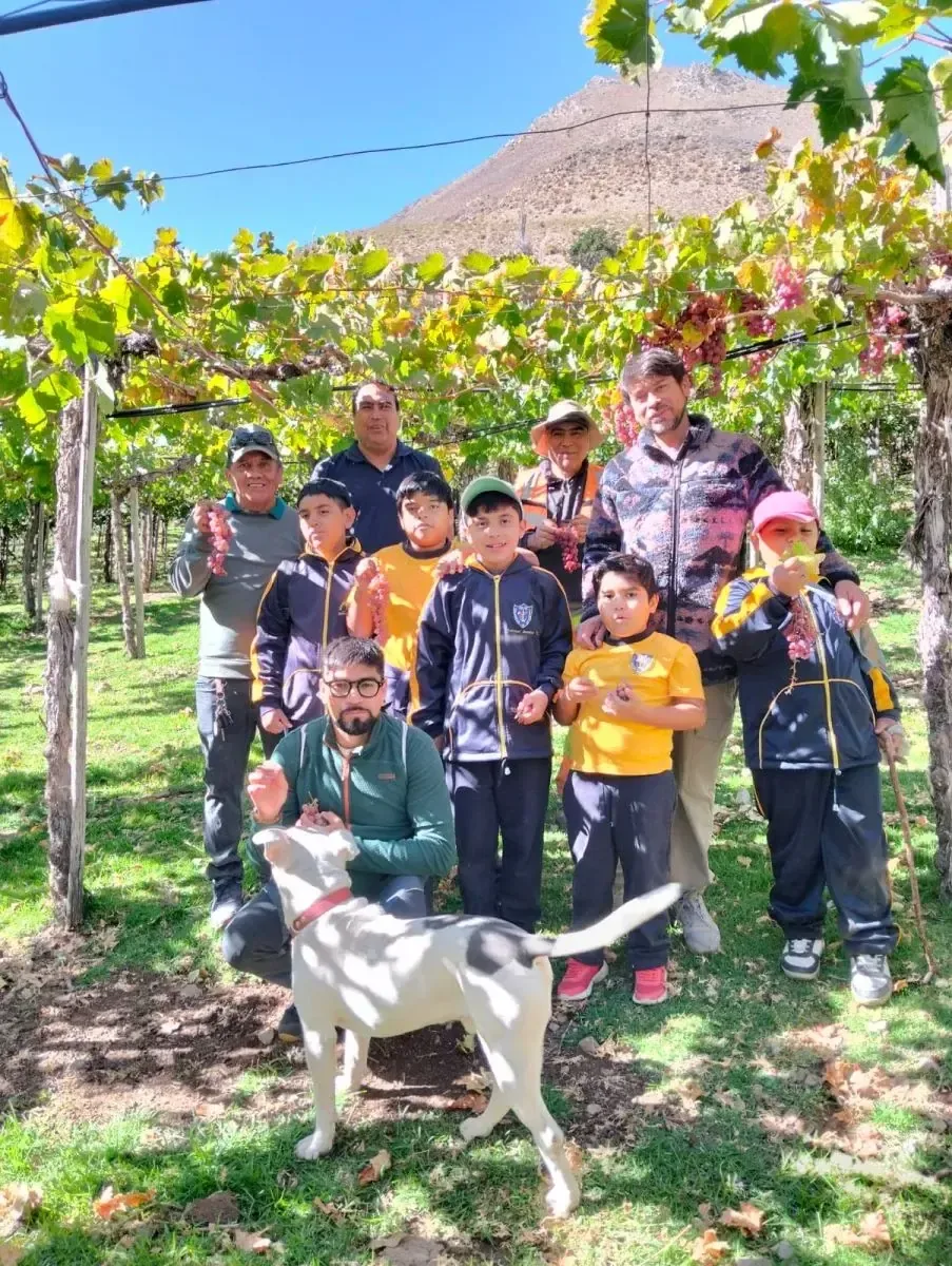 Reconocimiento internacional destaca la innovación en la educación rural promovida por un destacado docente chileno.
