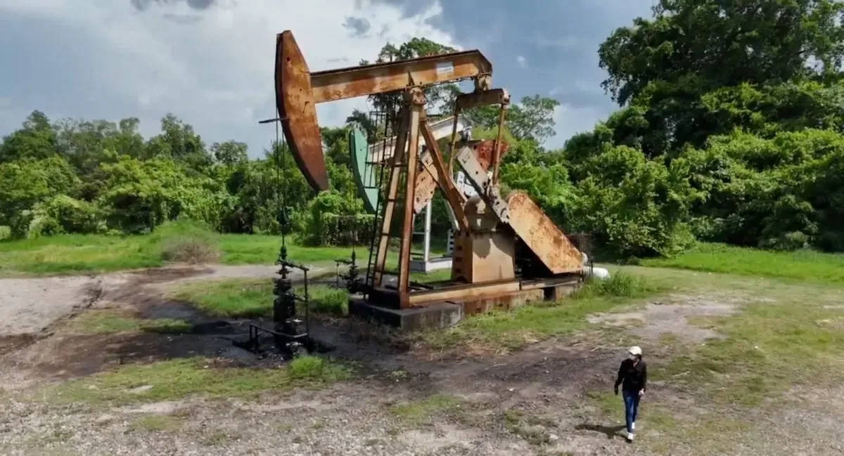 La prohibición se fundamenta en estudios sobre el impacto ambiental y social.