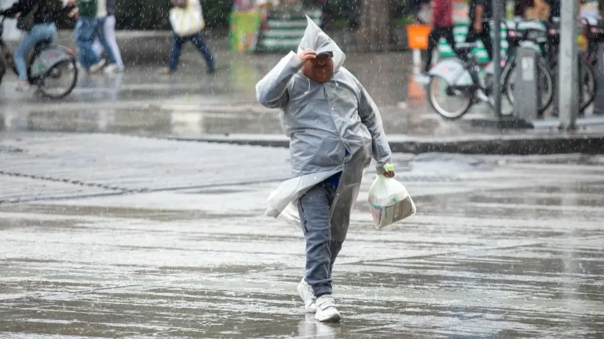 El Servicio Meteorológico advierte sobre intensas precipitaciones y altas temperaturas en diversas regiones del país.