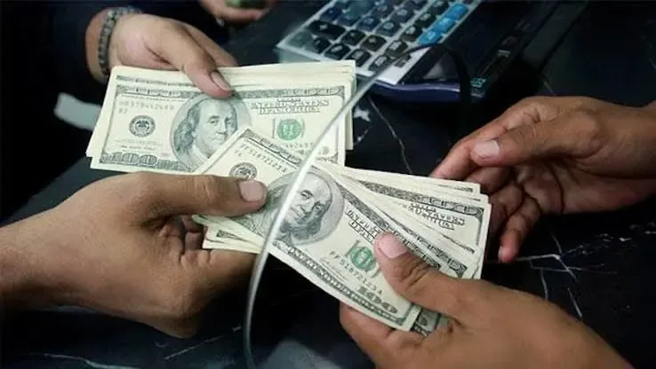 Iniciativa busca mejorar la protección financiera de familias dependientes de envíos.