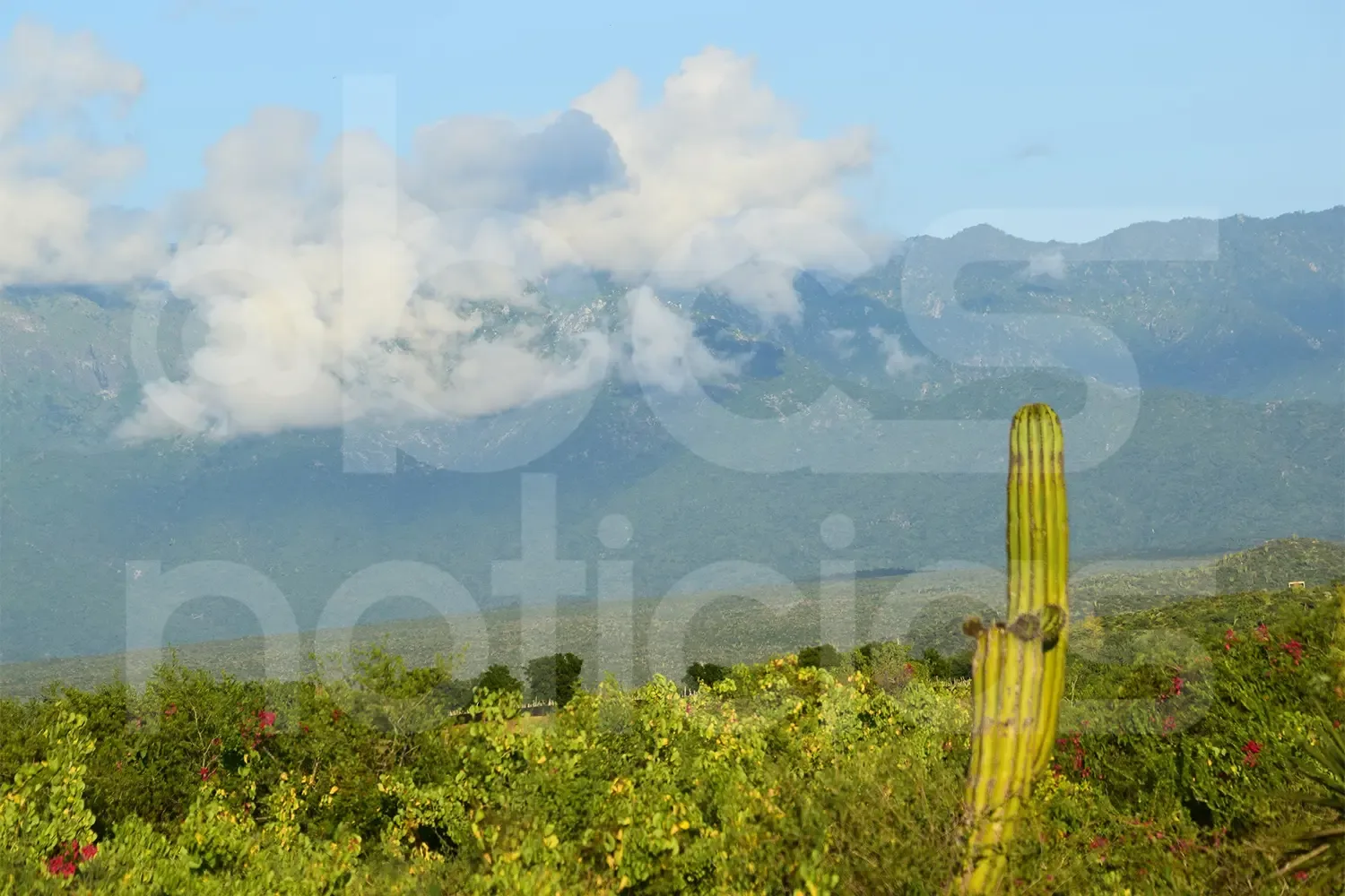 Propuesta del centro de conservación de vida silvestre en Los Cabos.