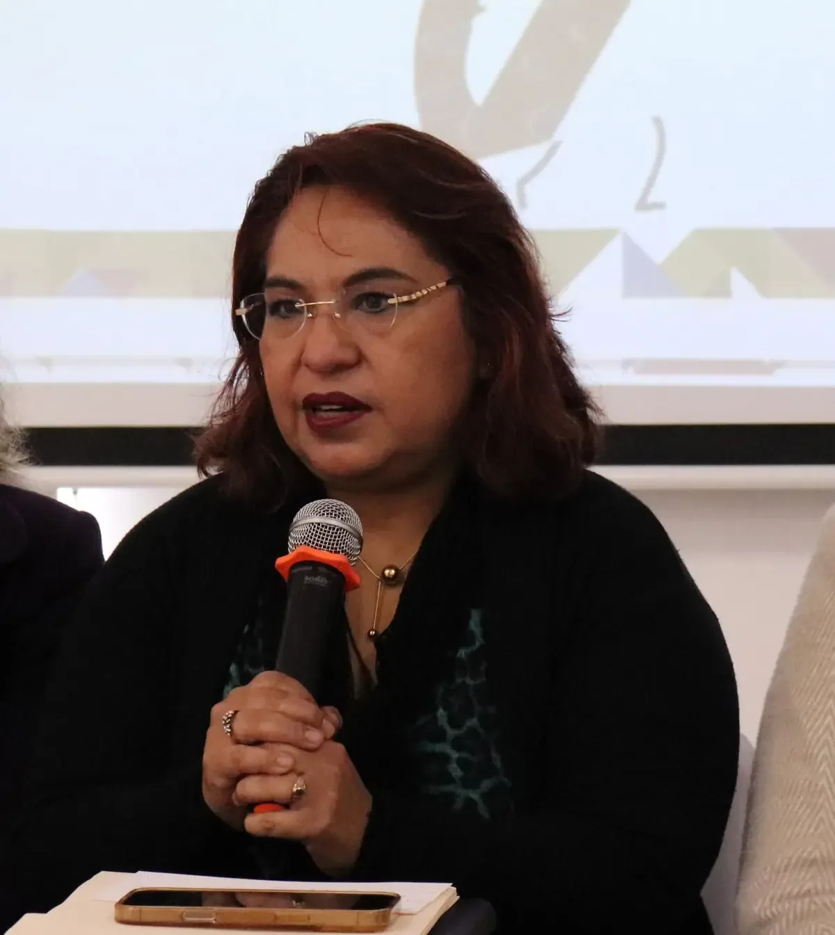 Propuestas del INE buscan garantizar un proceso electoral seguro en el estado.