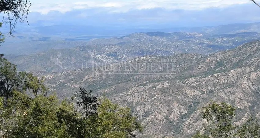 Proyecto Santuario del Tío Checo busca conservar la biodiversidad en Baja California Sur.