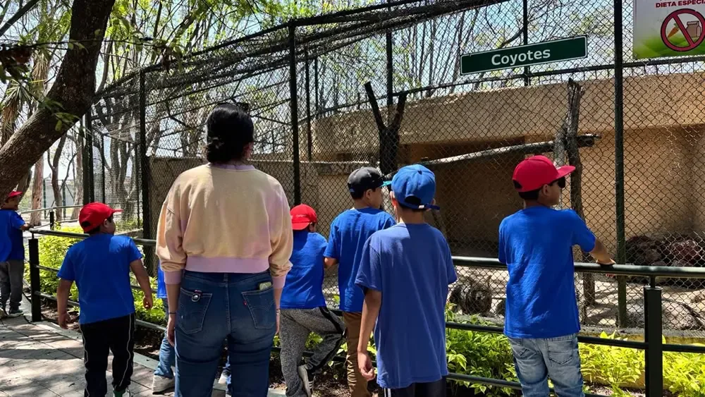 Proyectos académicos permiten a estudiantes aprender sobre animales y medio ambiente.